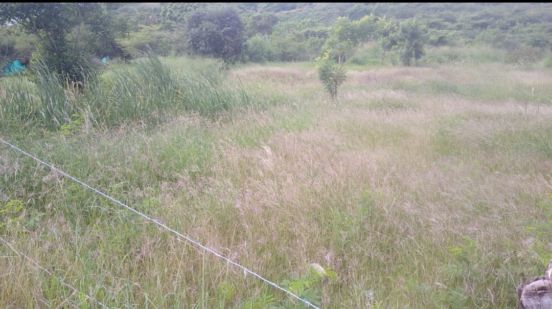 lote en venta - atalaya , cucuta